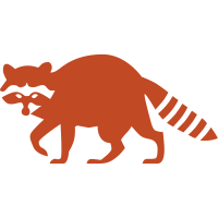 raccon